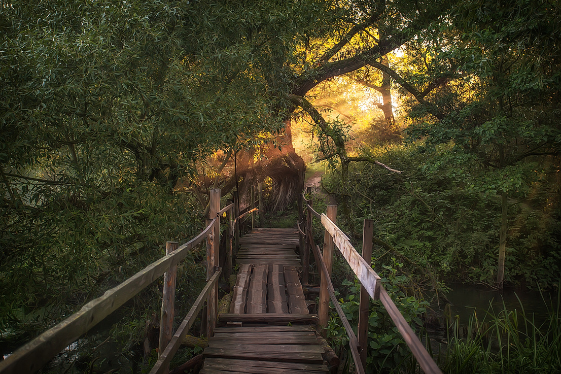 Пейзаж, животные, архитектура. Фотограф Минск Юлия Войнич