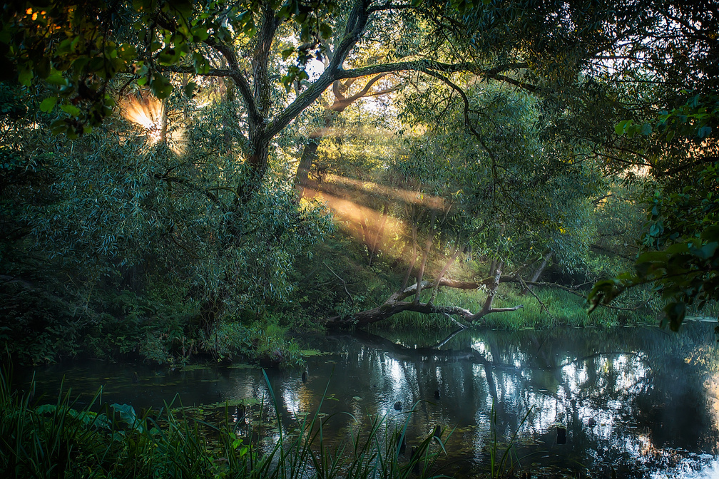Пейзаж, животные, архитектура. Фотограф Минск Юлия Войнич