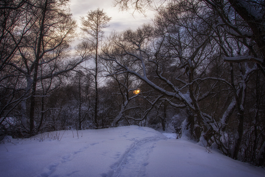 Пейзаж, животные, архитектура. Фотограф Минск Юлия Войнич