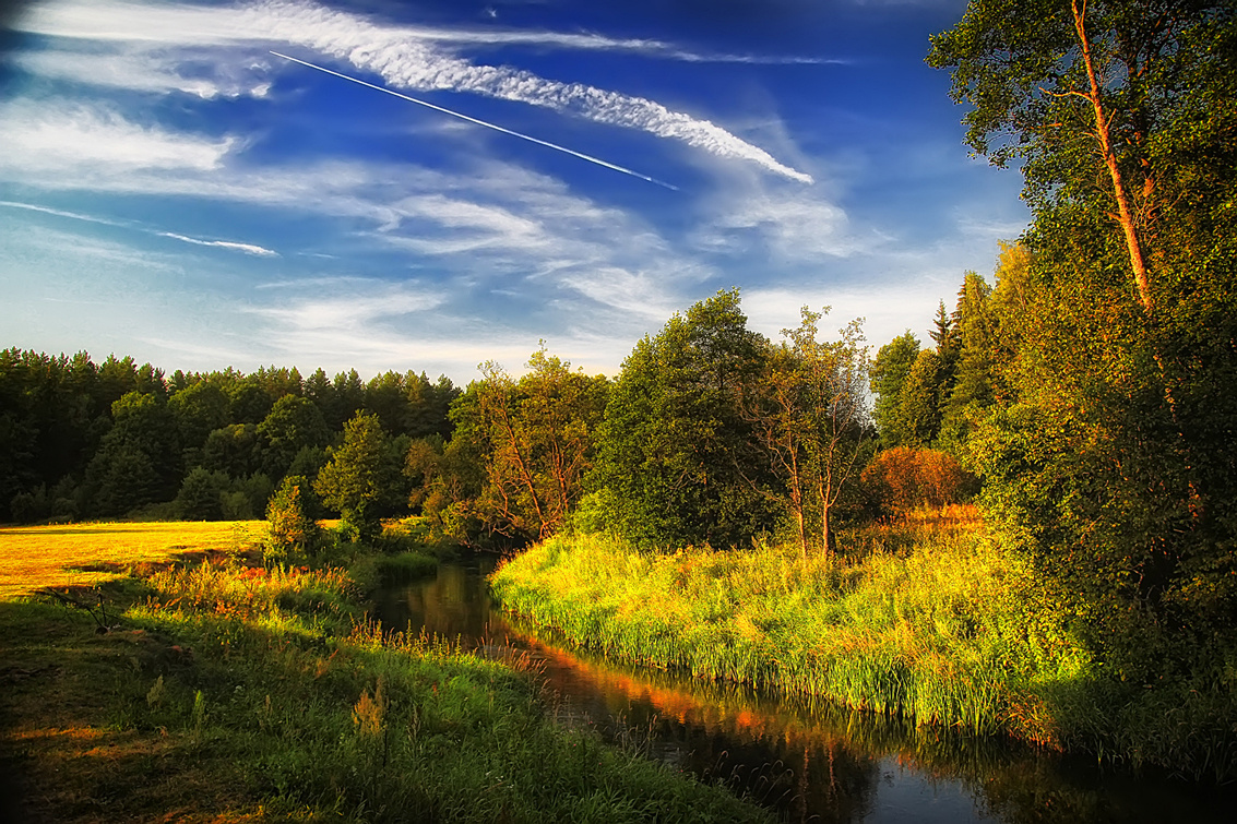 Пейзаж, животные, архитектура. Фотограф Минск Юлия Войнич