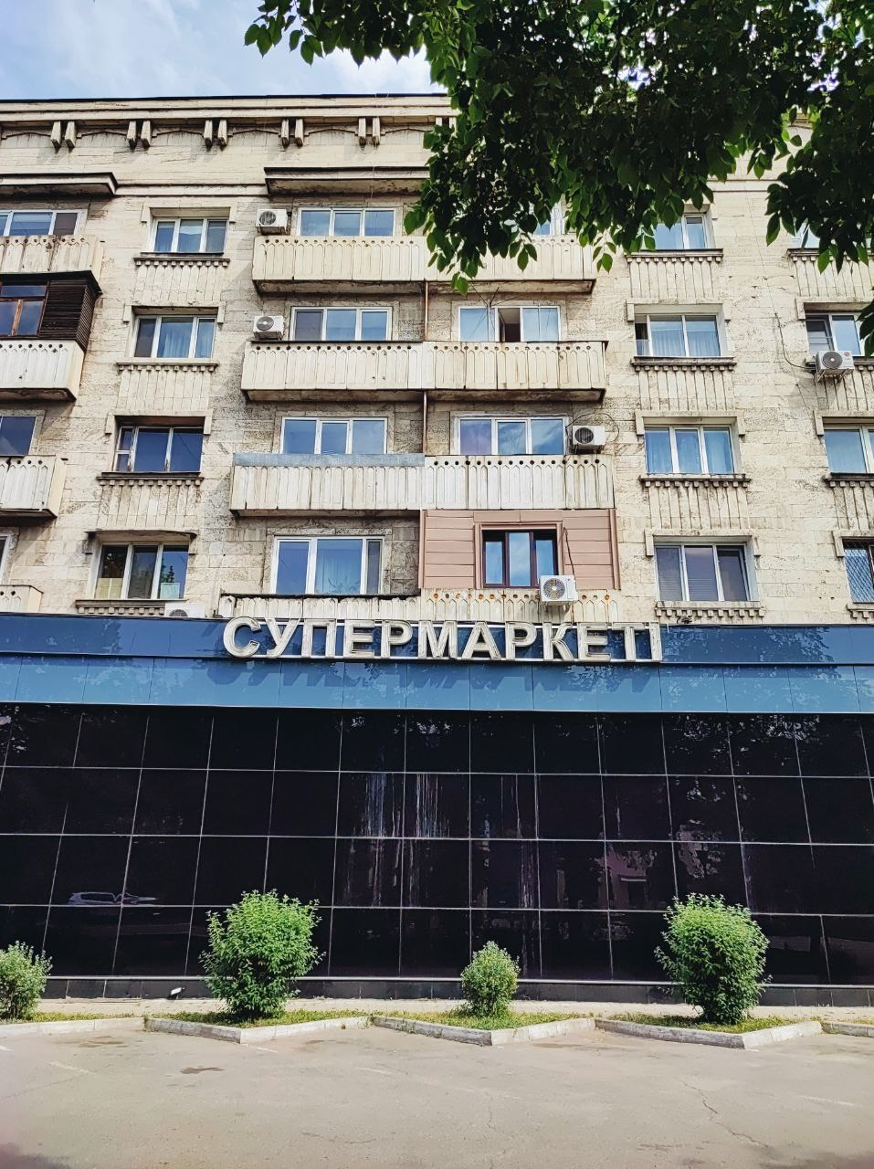 Намобилкус казахский. Репортажный фотограф Алексей Пирязев