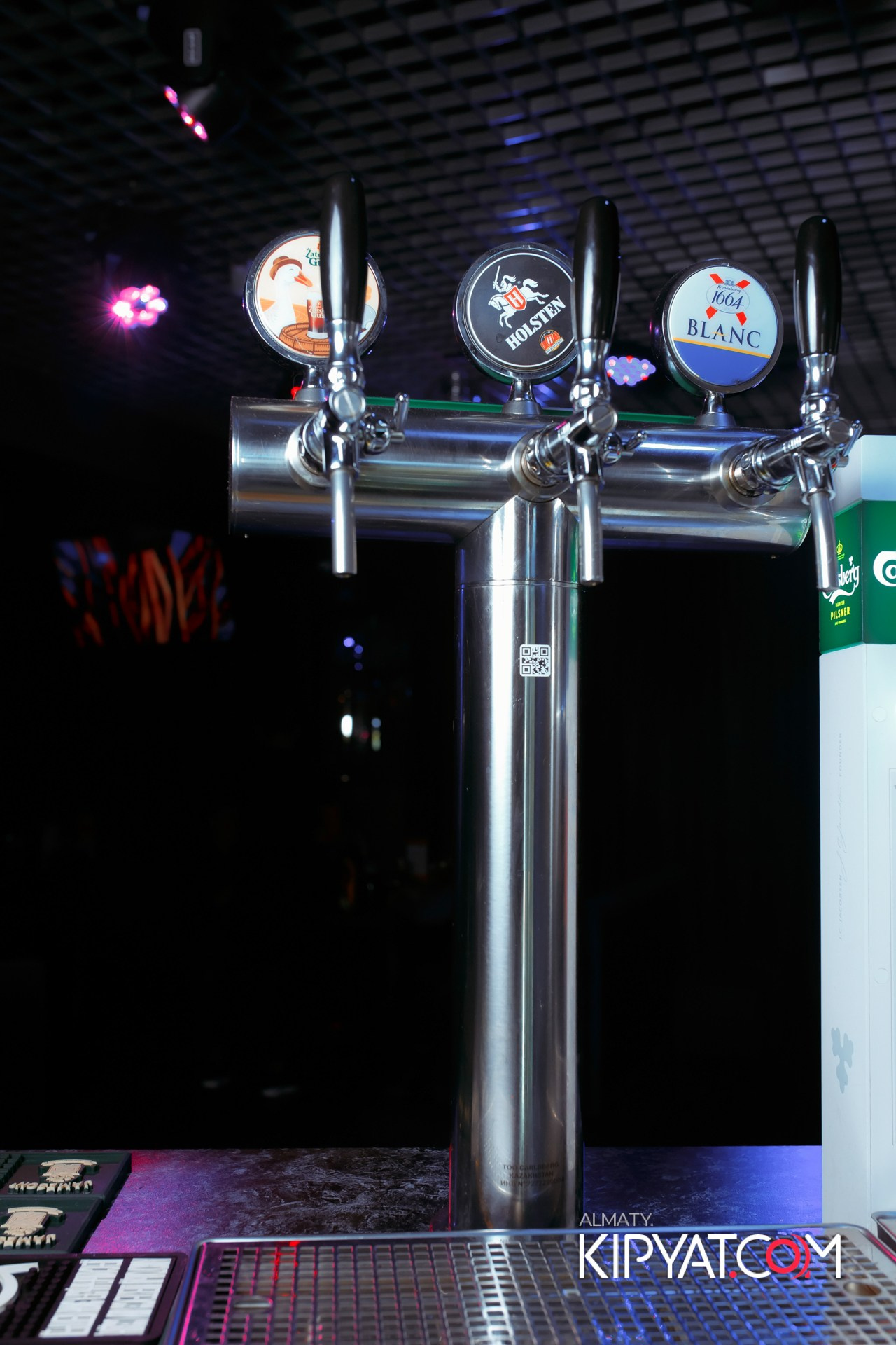 УХО И МЕДВЕДЬ НА САИНА. КИПЯТКОМ АЛМАТЫ!