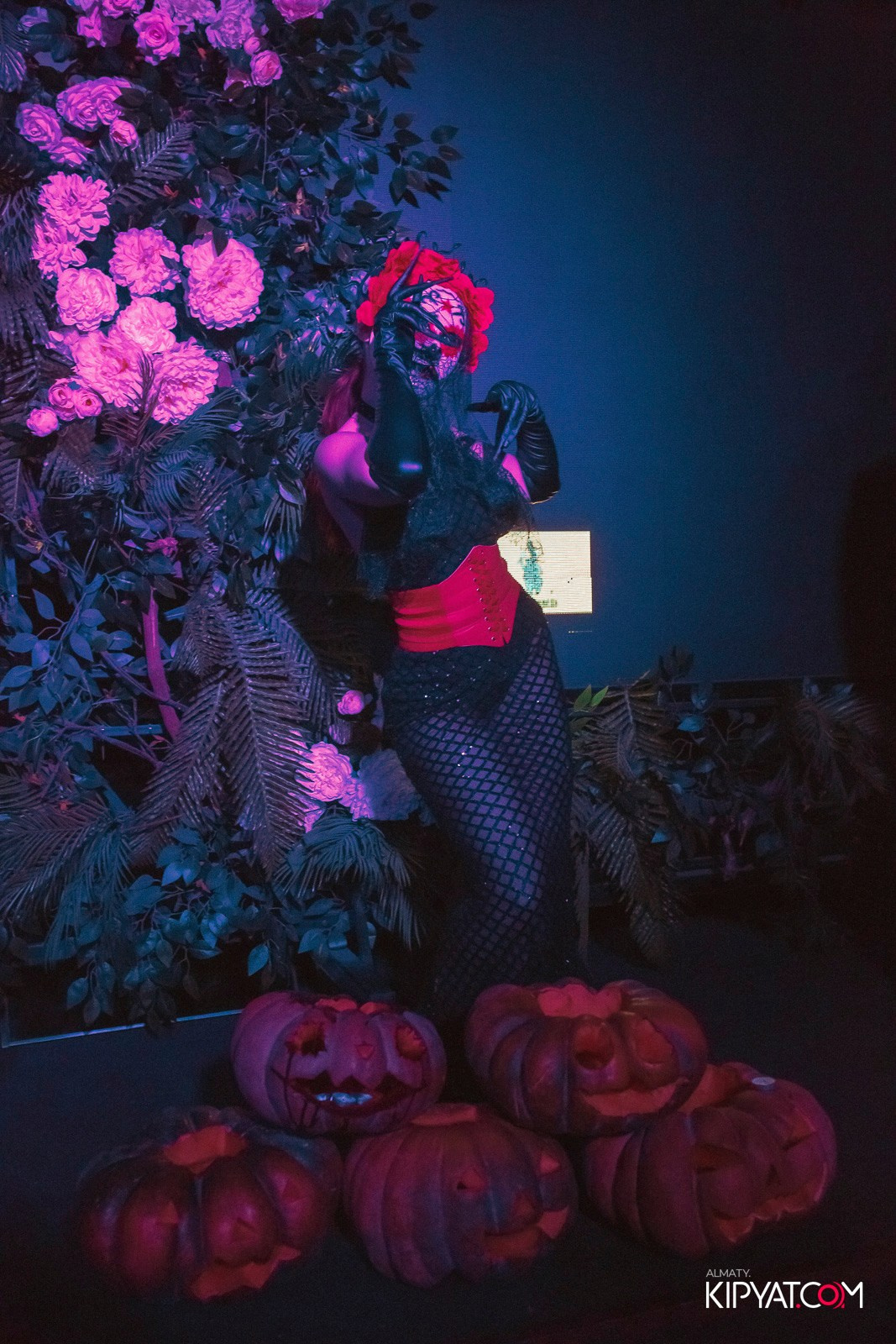 УХО И МЕДВЕДЬ НА КУРМАНГАЗЫ. КИПЯТКОМ АЛМАТЫ!