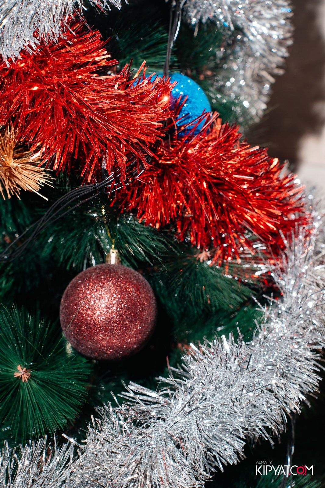 УХО И МЕДВЕДЬ НА ГАГАРИНА. КИПЯТКОМ АЛМАТЫ!