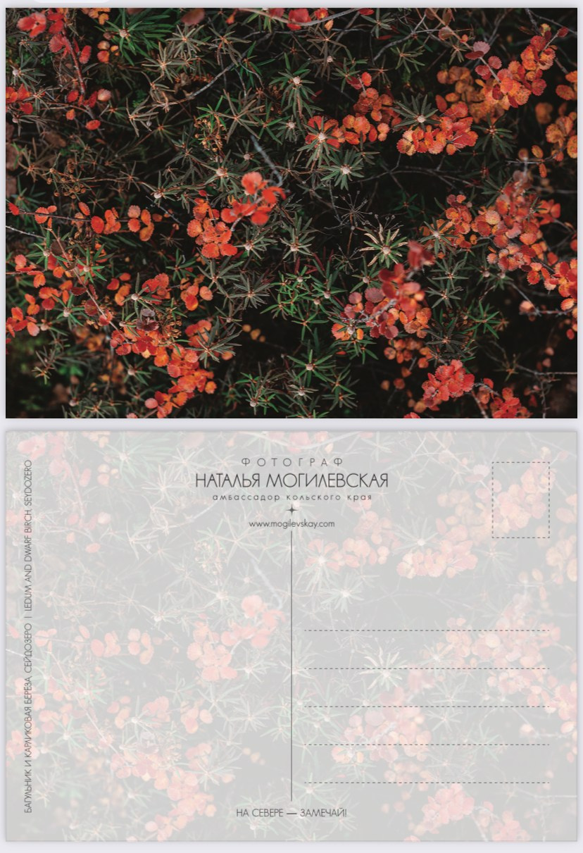 АВТОРСКИЕ ОТКРЫТКИ, 150руб. Фотограф Наталья Могилевская Мурманск Териберка Сейдозеро Рыбачий