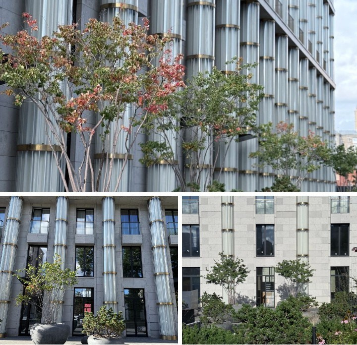 Кутузовский проспект, 12