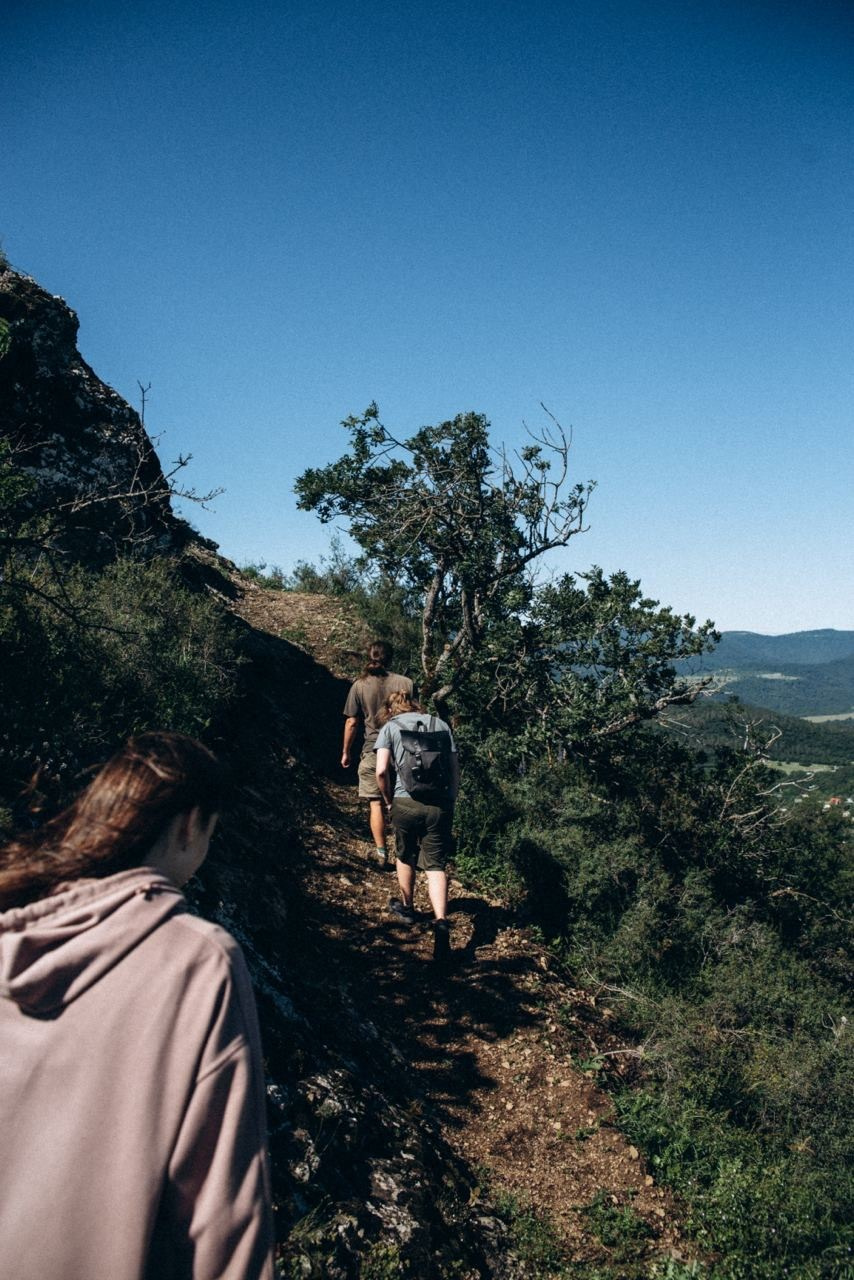 Биртвиси, Грузия 🇬🇪 «Honey Trip». Anita_photo