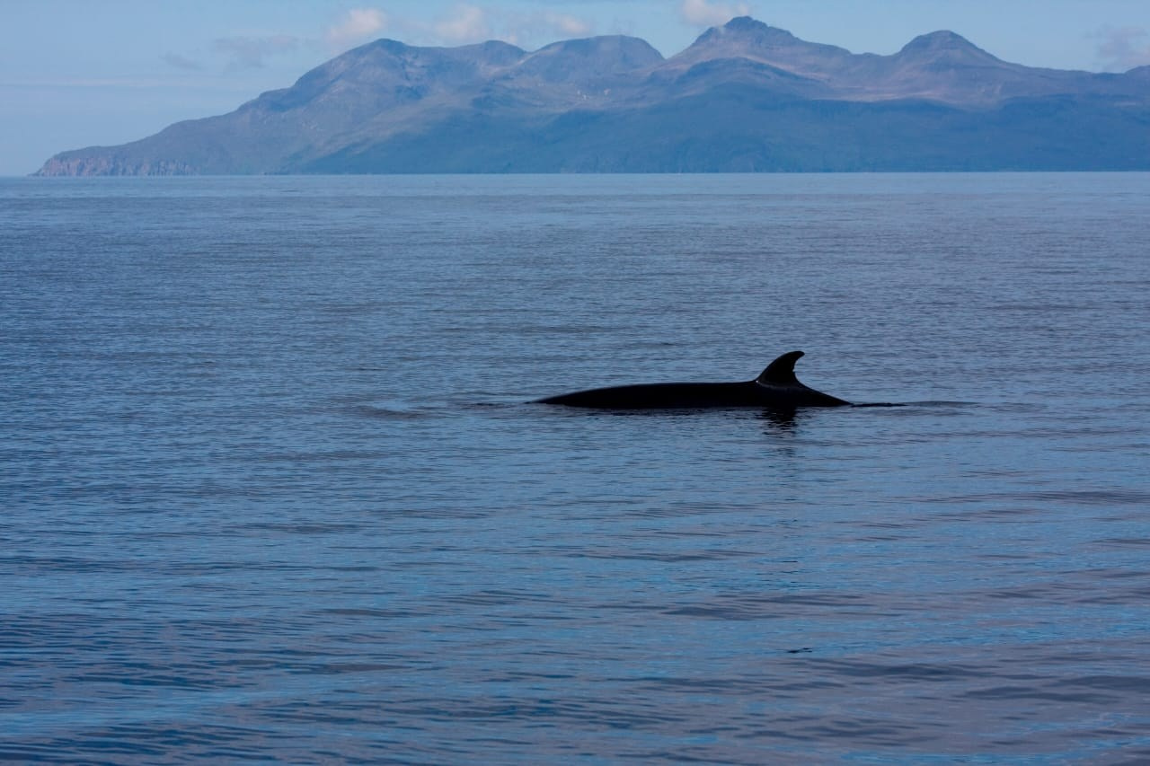 Мурманск | 22-23.06.2019. Галерея Фантим