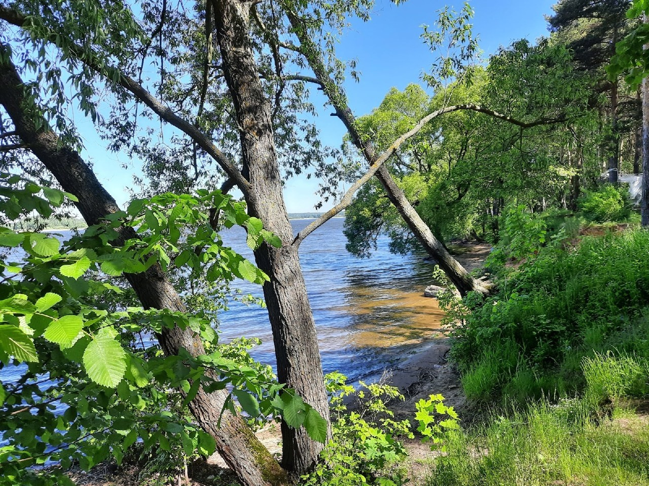 Пятница! | 2021. Галерея Фантим