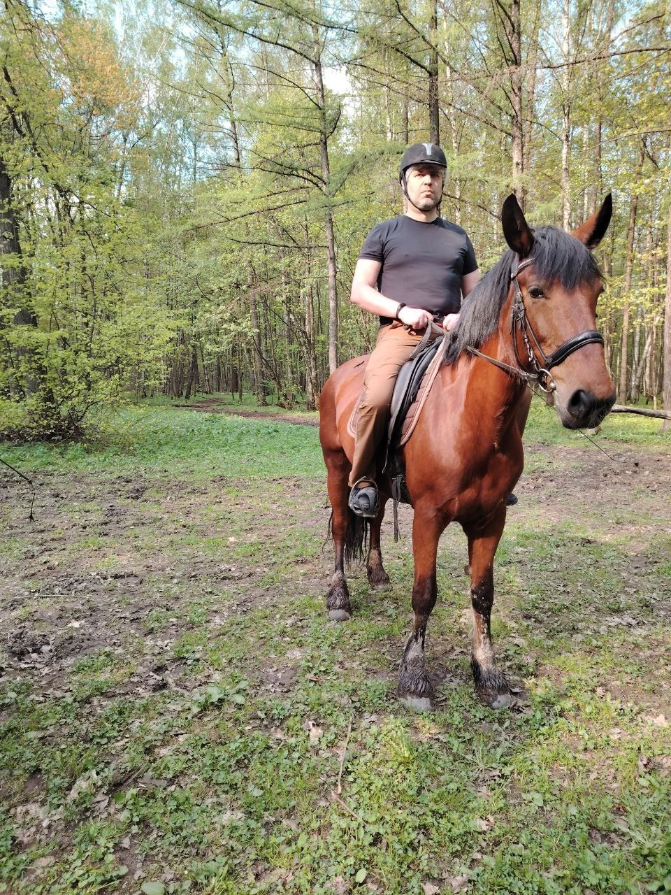 Лошадинг | 30.03.2024. Галерея Фантим