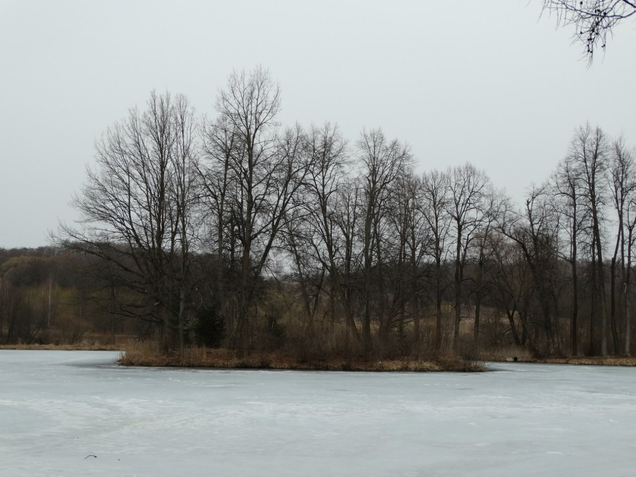 Середниково — Piligrim Porto — Братцево — Сходненская чаша | 09.04.2016. Галерея Фантим