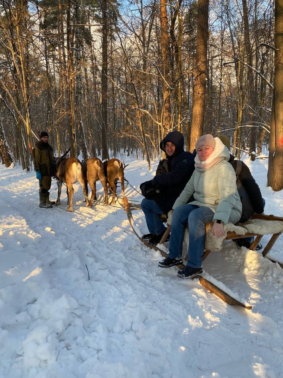 В гости к северным оленям | 02.12.2023. Галерея Фантим