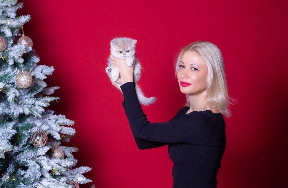 Новогодняя акция!!!. Фотостудия во Всеволожске. Подходит для всех творческих проектов