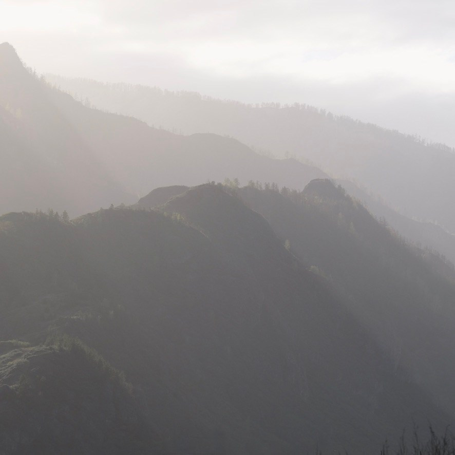 BUY ARTWORKS. Alyona Rubanova — Visual artist