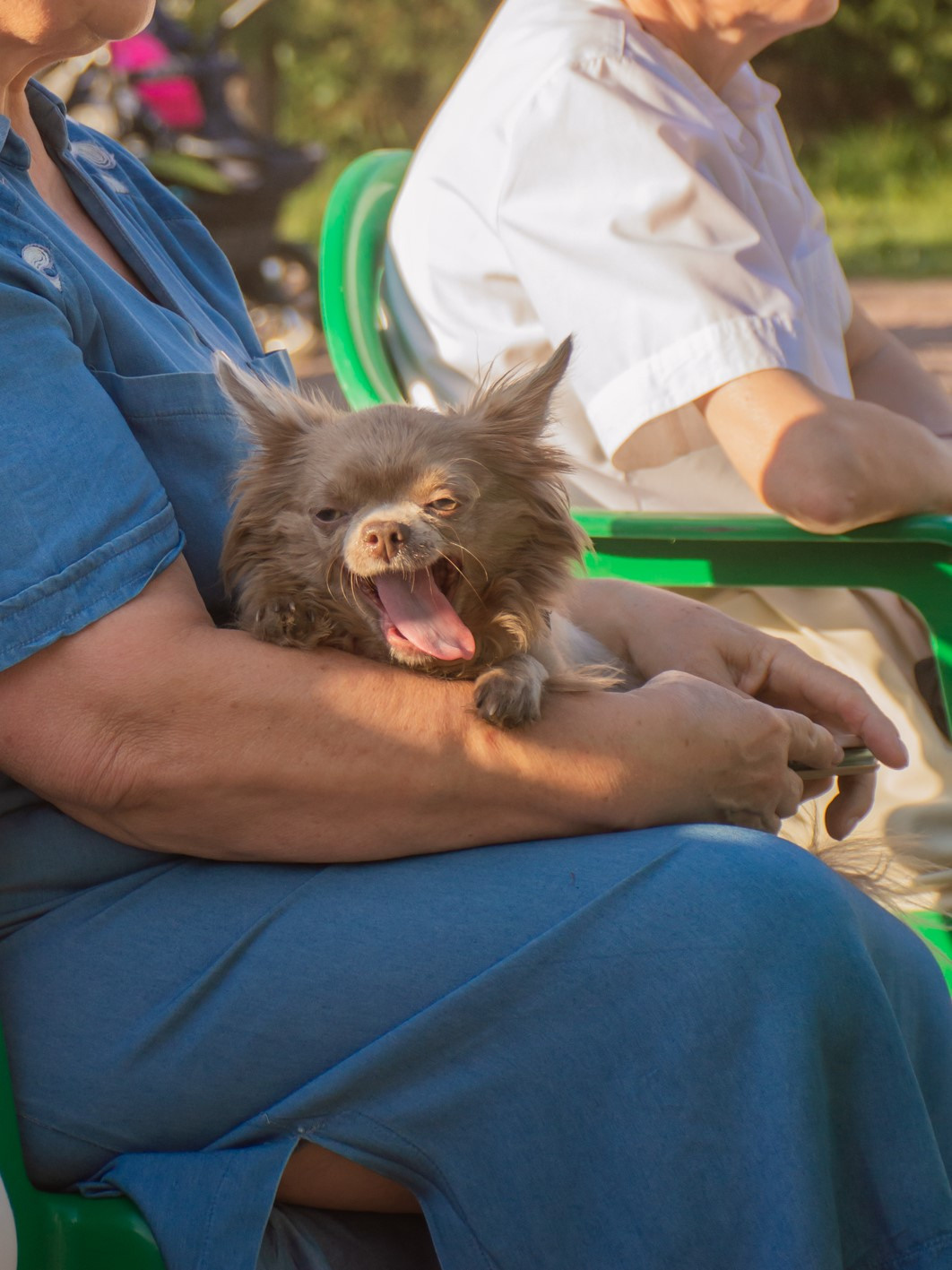 А музыка звучит. Фотограф в Санкт-Петербурге, фотодни в СПБ