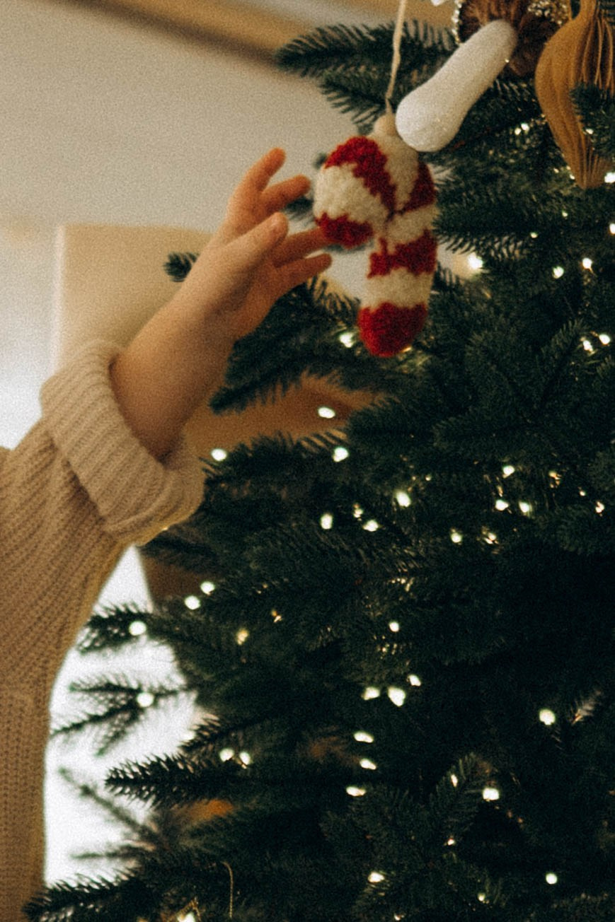 Полина, Рома, Василиса, Демид. Семейный фотограф Юлия Котова