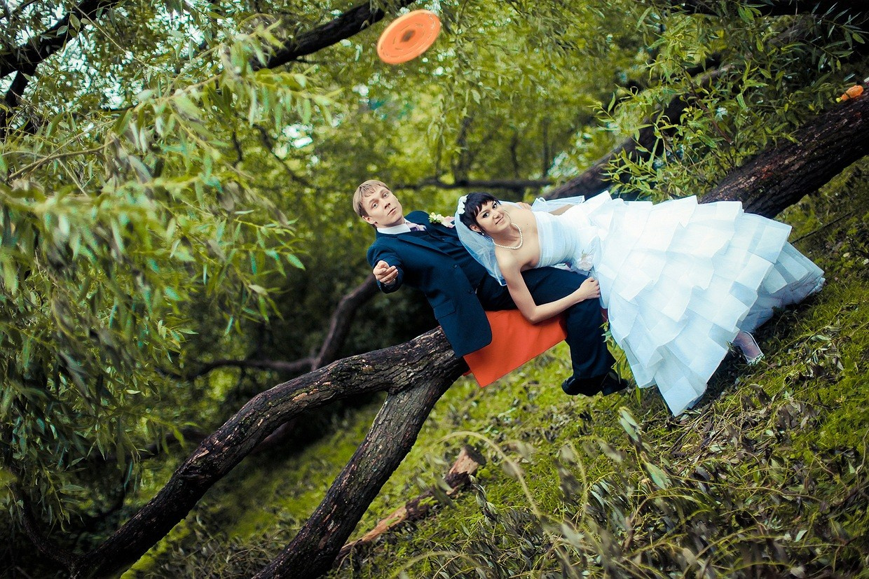 жених с невестой сидят на ветке дерева и запускают фризби