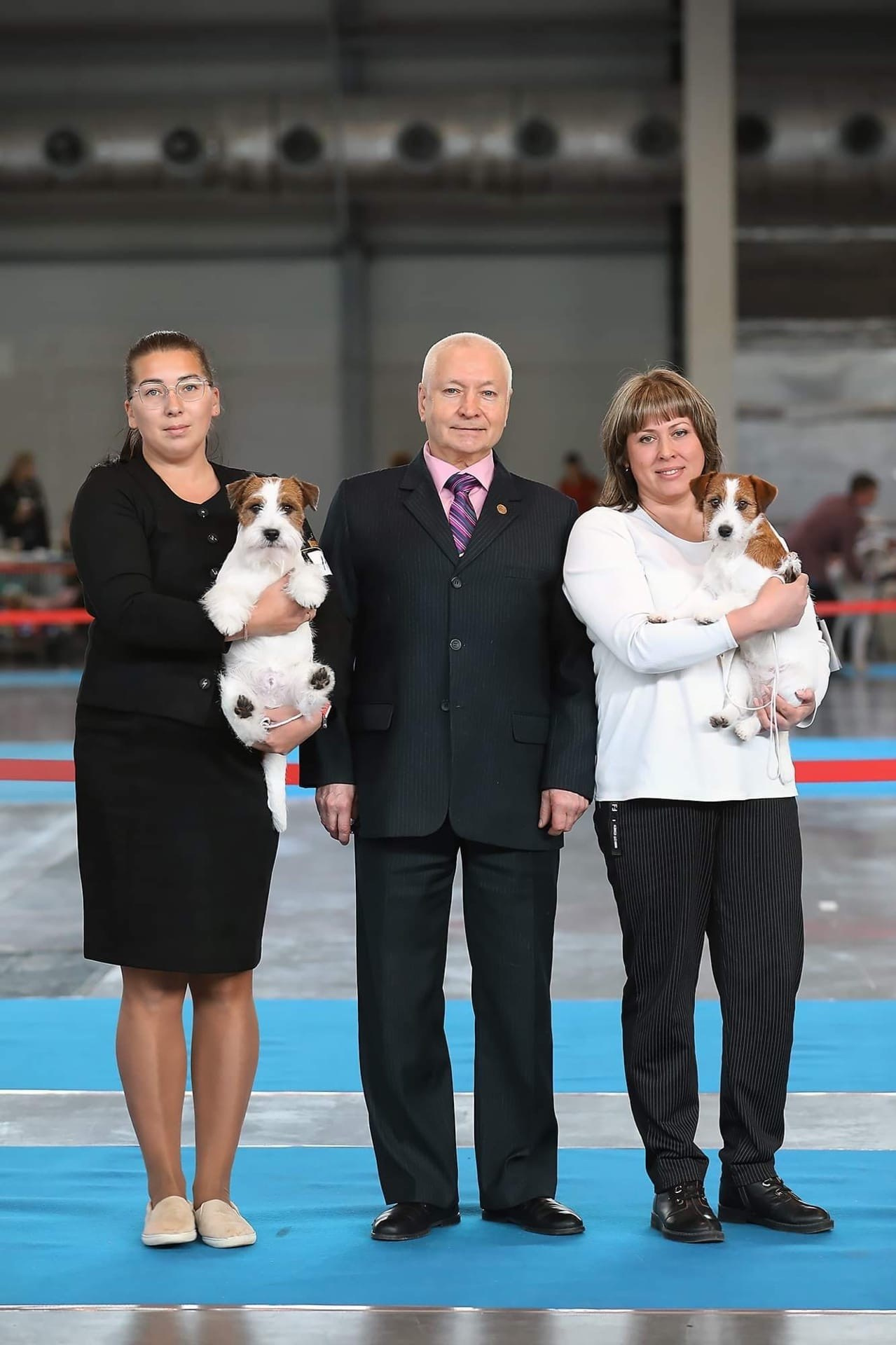 Lovely-Orange Kaizer. Lovely-Orange питомник джек рассел терьеров