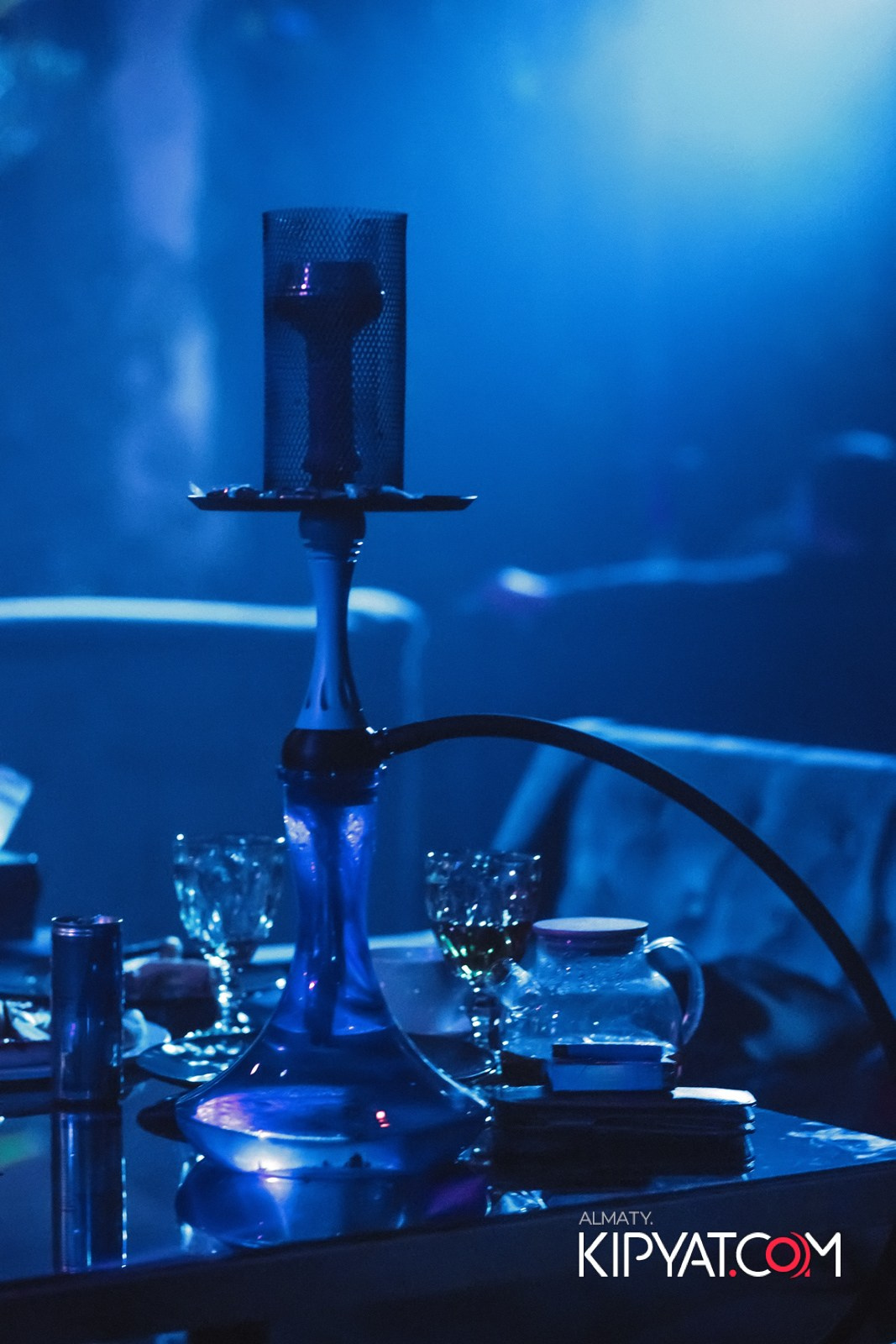 УХО И МЕДВЕДЬ КУРМАНГАЗЫ. КИПЯТКОМ АЛМАТЫ!