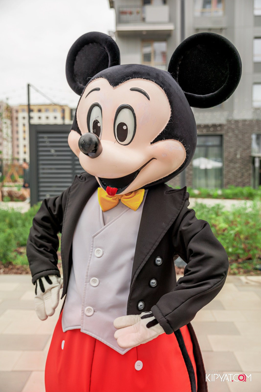 BI RUN 2025. КИПЯТКОМ АЛМАТЫ!