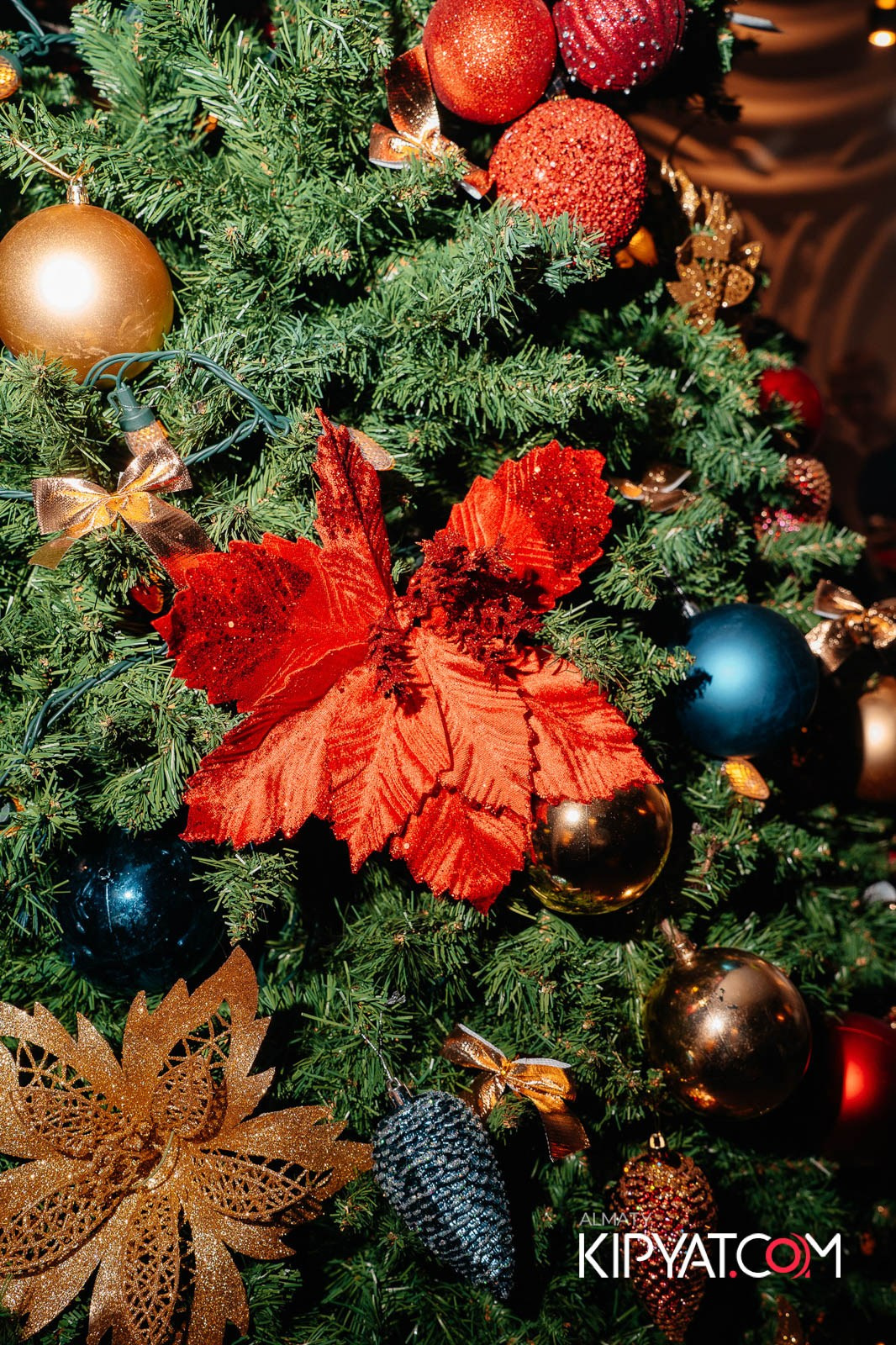 РЕСТОРАН CHINA. КИПЯТКОМ АЛМАТЫ!