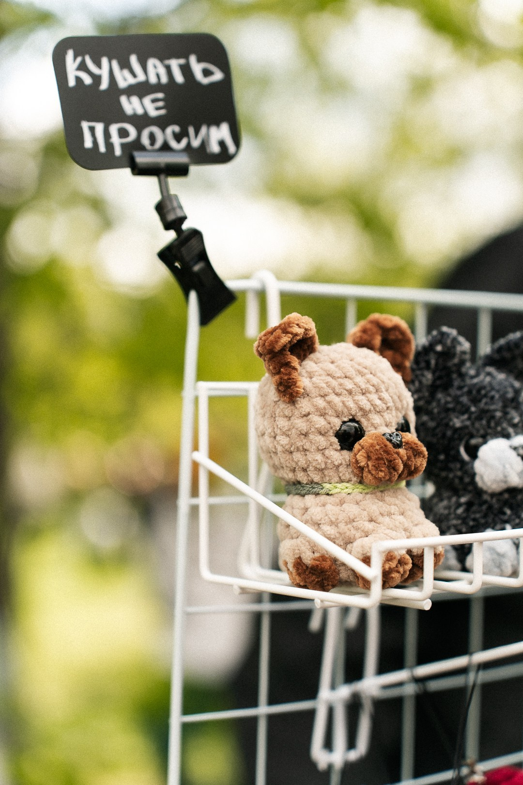 Парад Бульдогов. Axenov_eugene