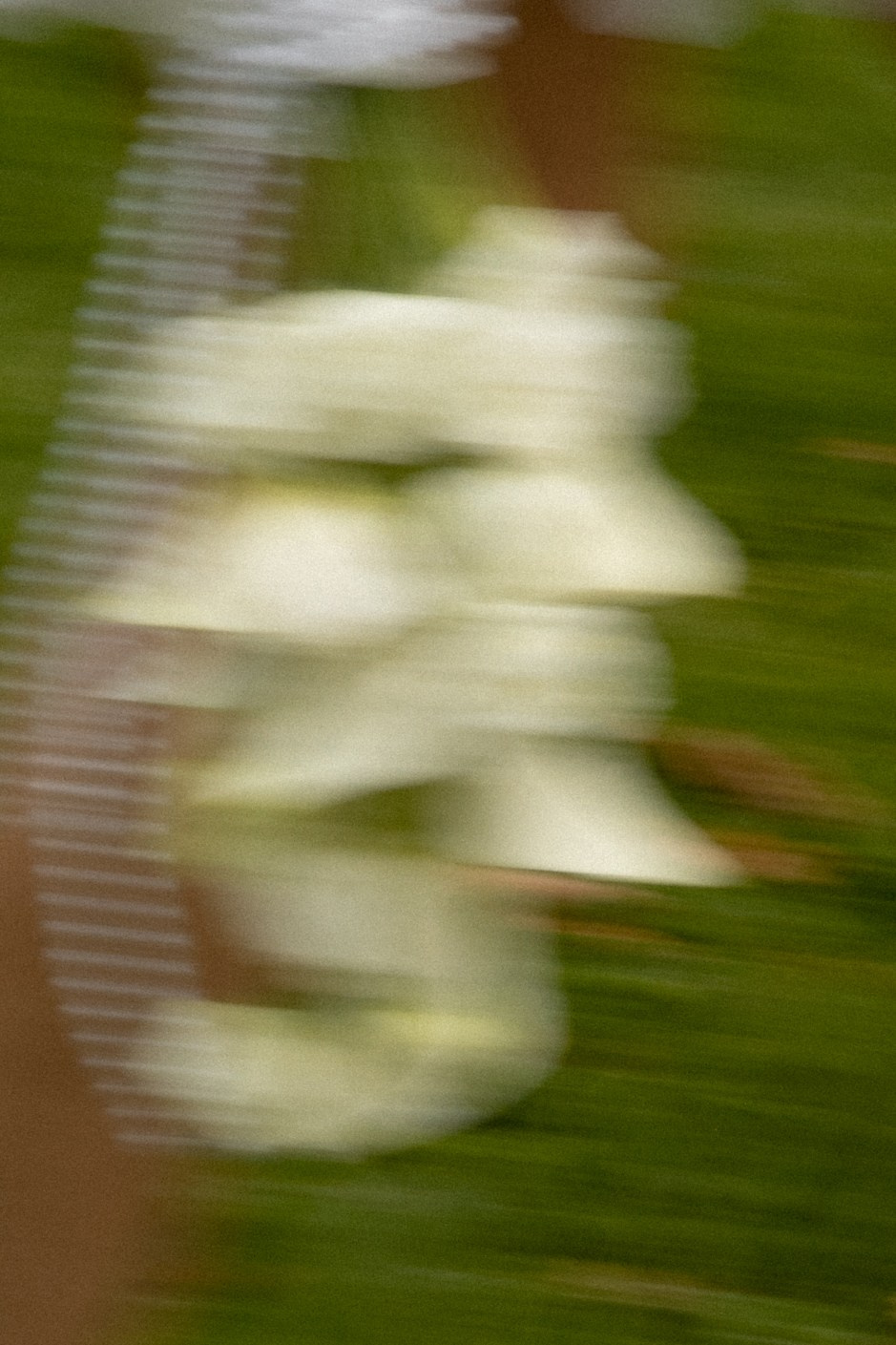 Марко ловез юоу. Свадебный фотограф в Москве и Балашихе