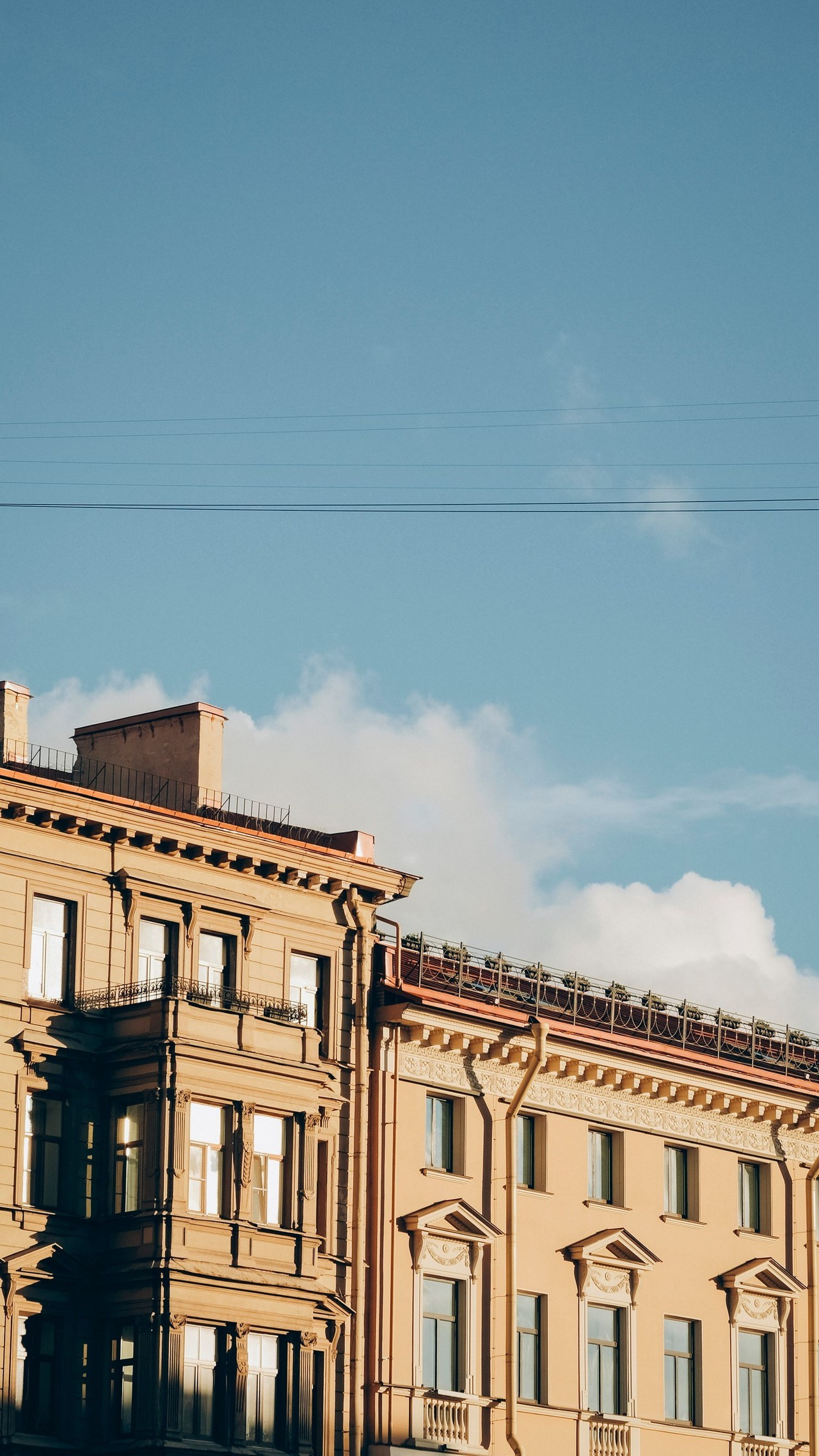 Отзывы. Алена Войтко