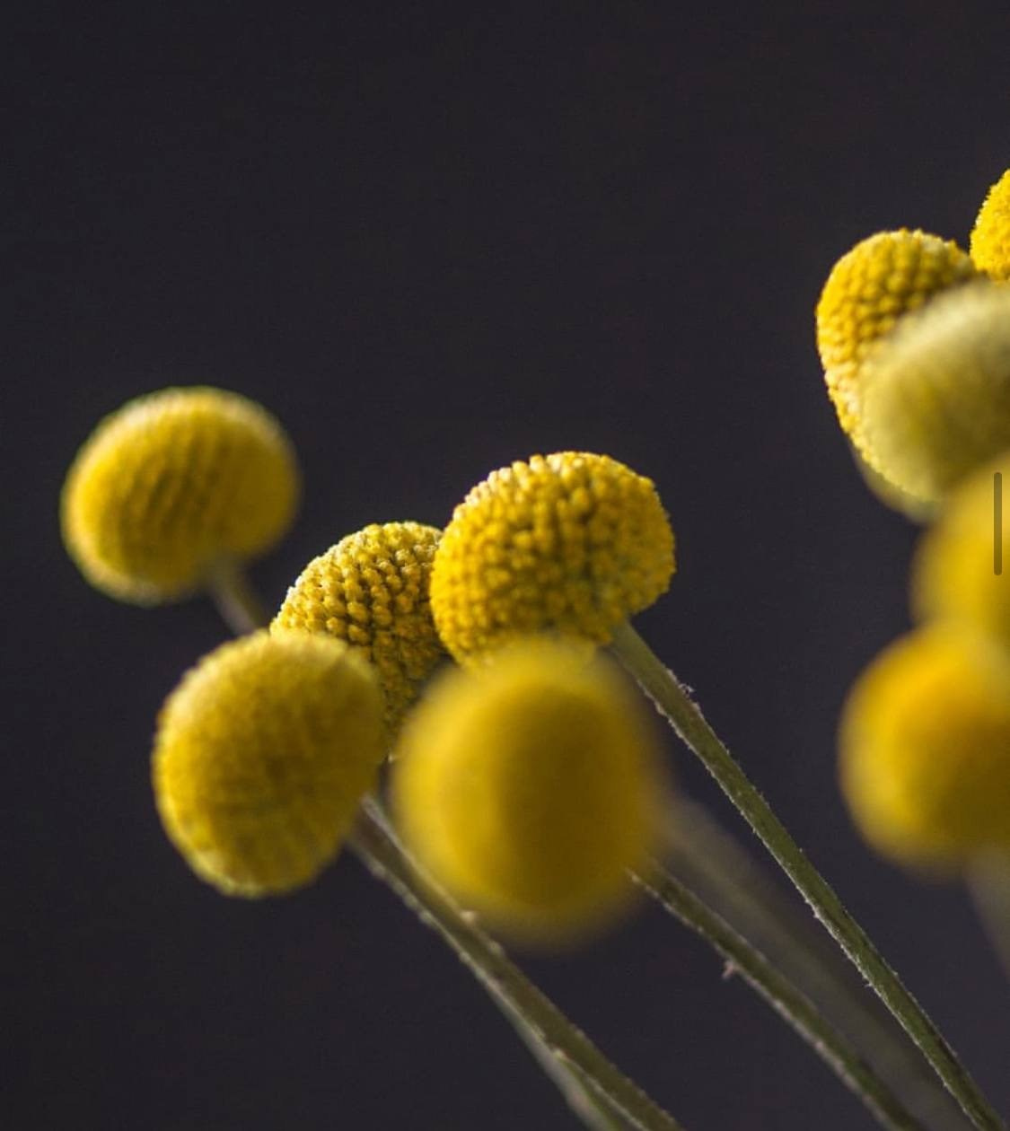 Бренды. Елена Бордо | Фотограф Москва