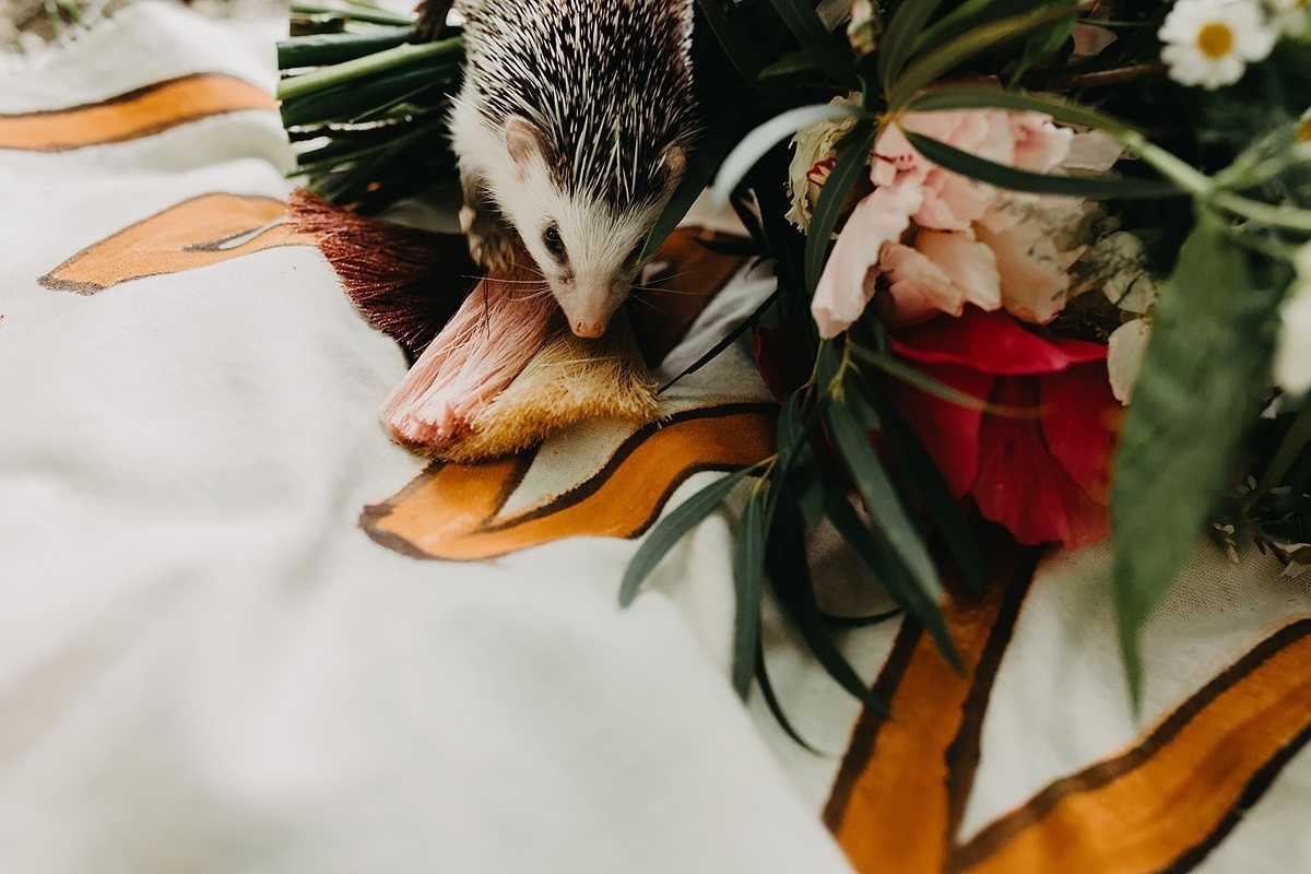 Иван /// Виктория