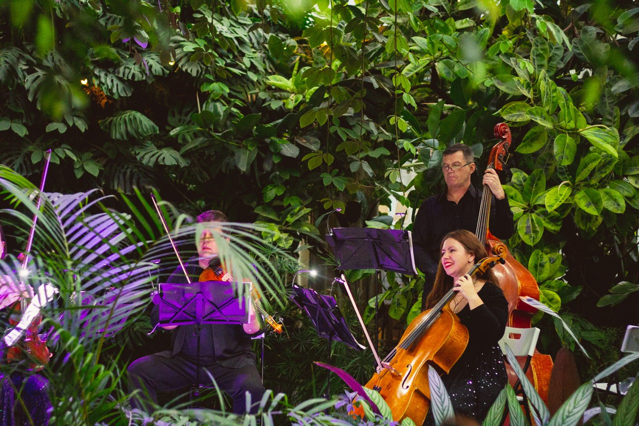 Petro Art — квартет в Таврическом саду (Рок Хиты). EvgenyCraft