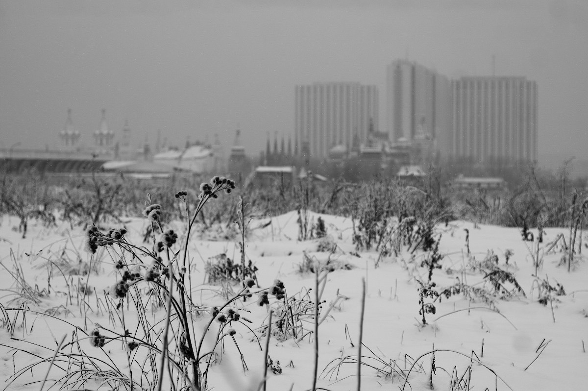 Пейзаж. Портретный фотограф в Москве Михаил Воронцов