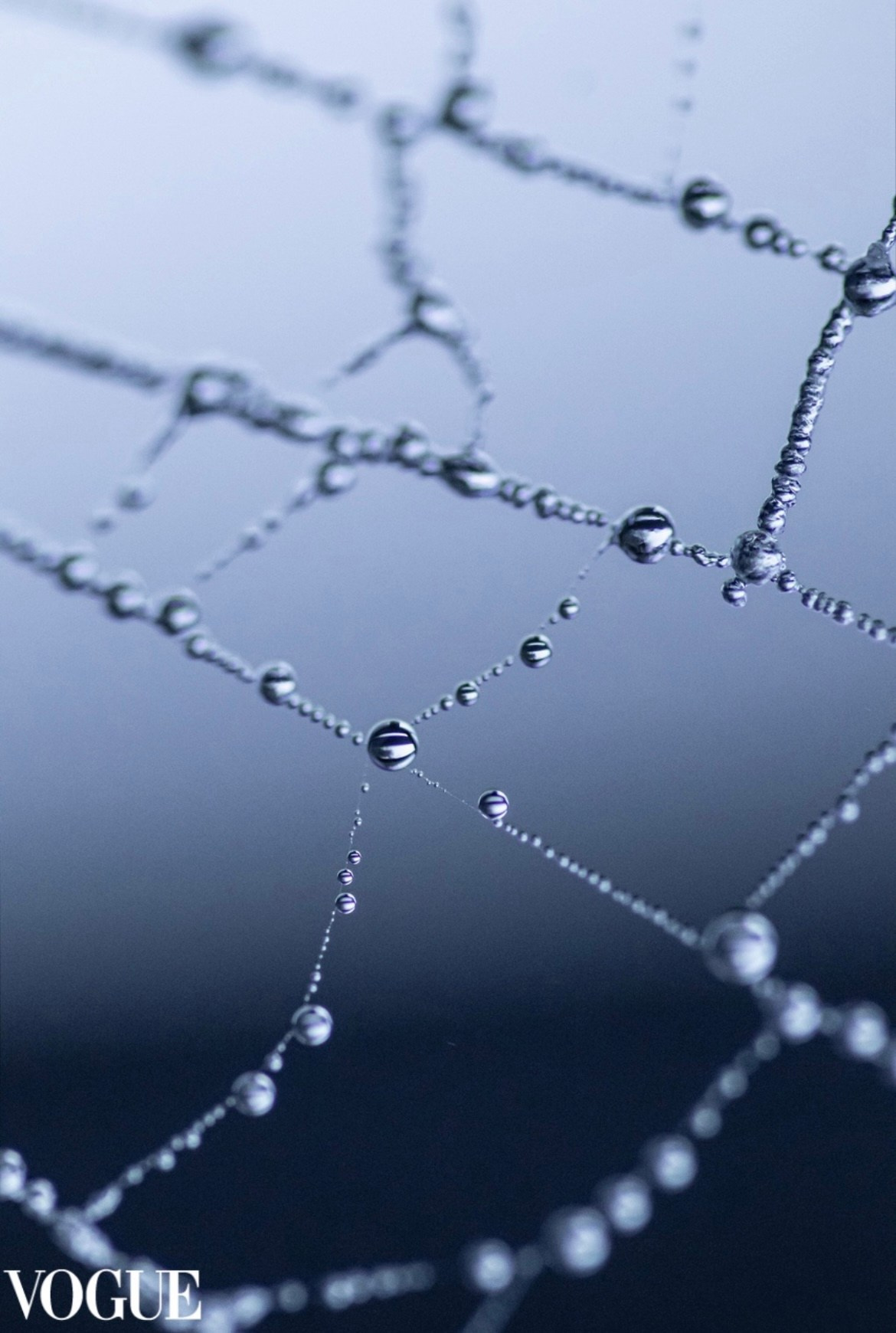 Публикации | Вероника Вербицкая. Вероника Вербицкая | Фотохудожник в Дублине