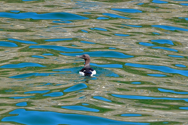 Пейзажи России. Пейзажный & Timelapse фотограф Роман Любимский
