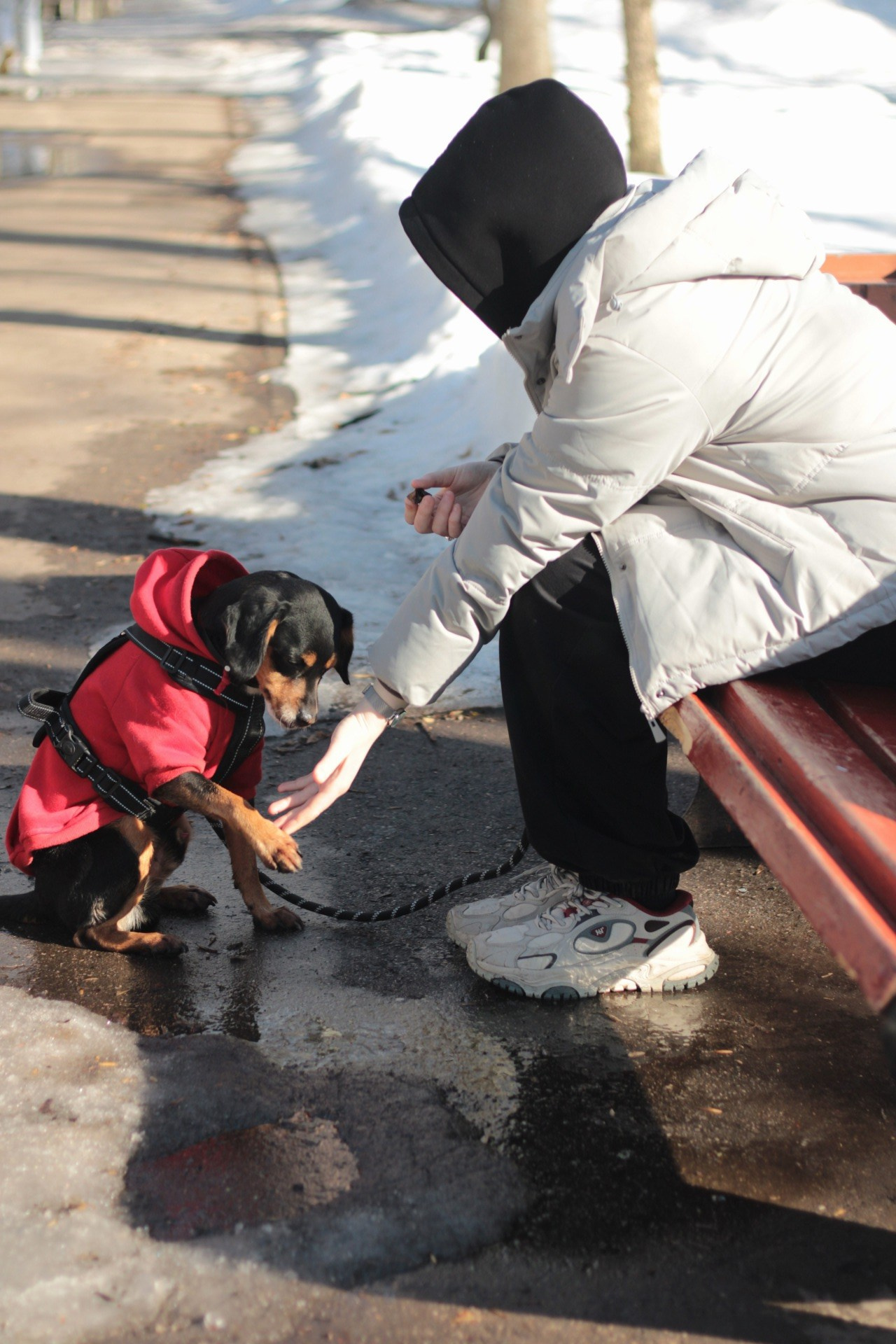Маша и Кекс. Катя Попова|ЛайфСтайл фотограф