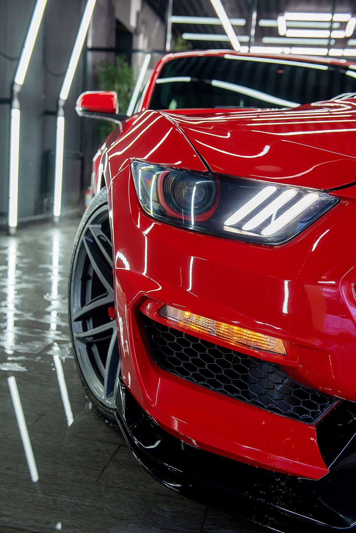 Mustang. Семейный и коммерческий фотограф в Сочи Александр Бодунов