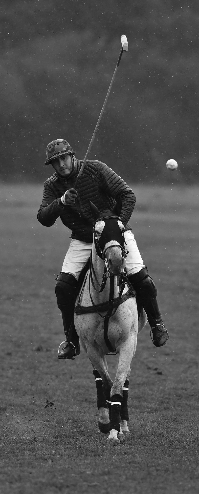 Polo art photos. Art photos of horses — ARTUR BABOEV | Photographer