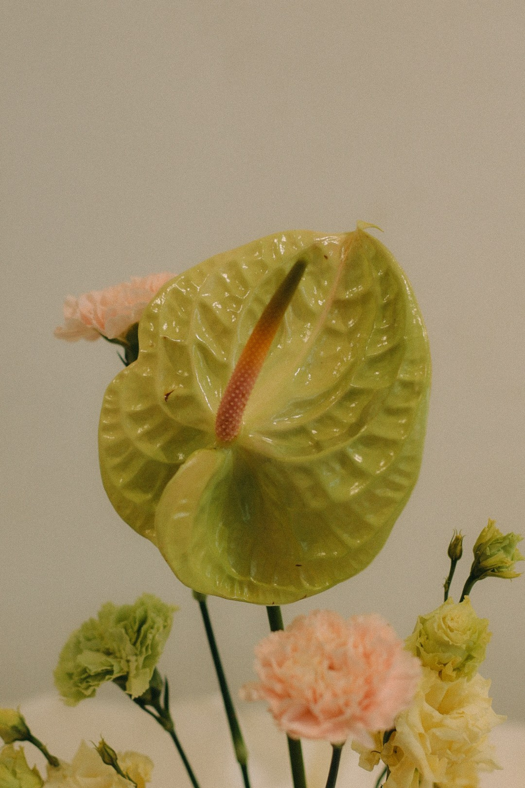 Егор и Маша. Фотограф Нижний Новгород