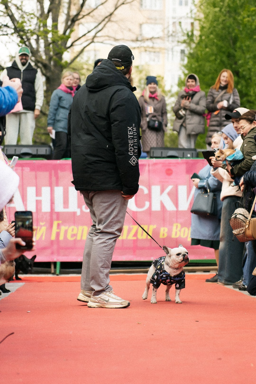 Парад Бульдогов. Axenov_eugene