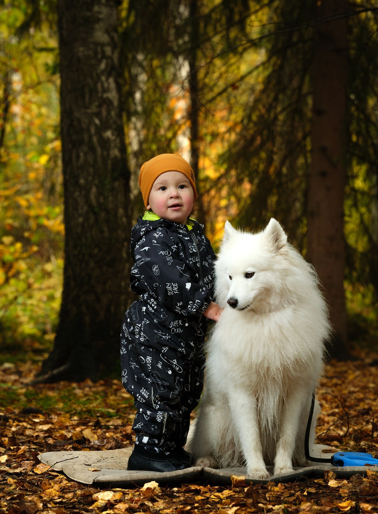 Отзывы. Арт-фотограф Михаил Danko, г. Новосибирск