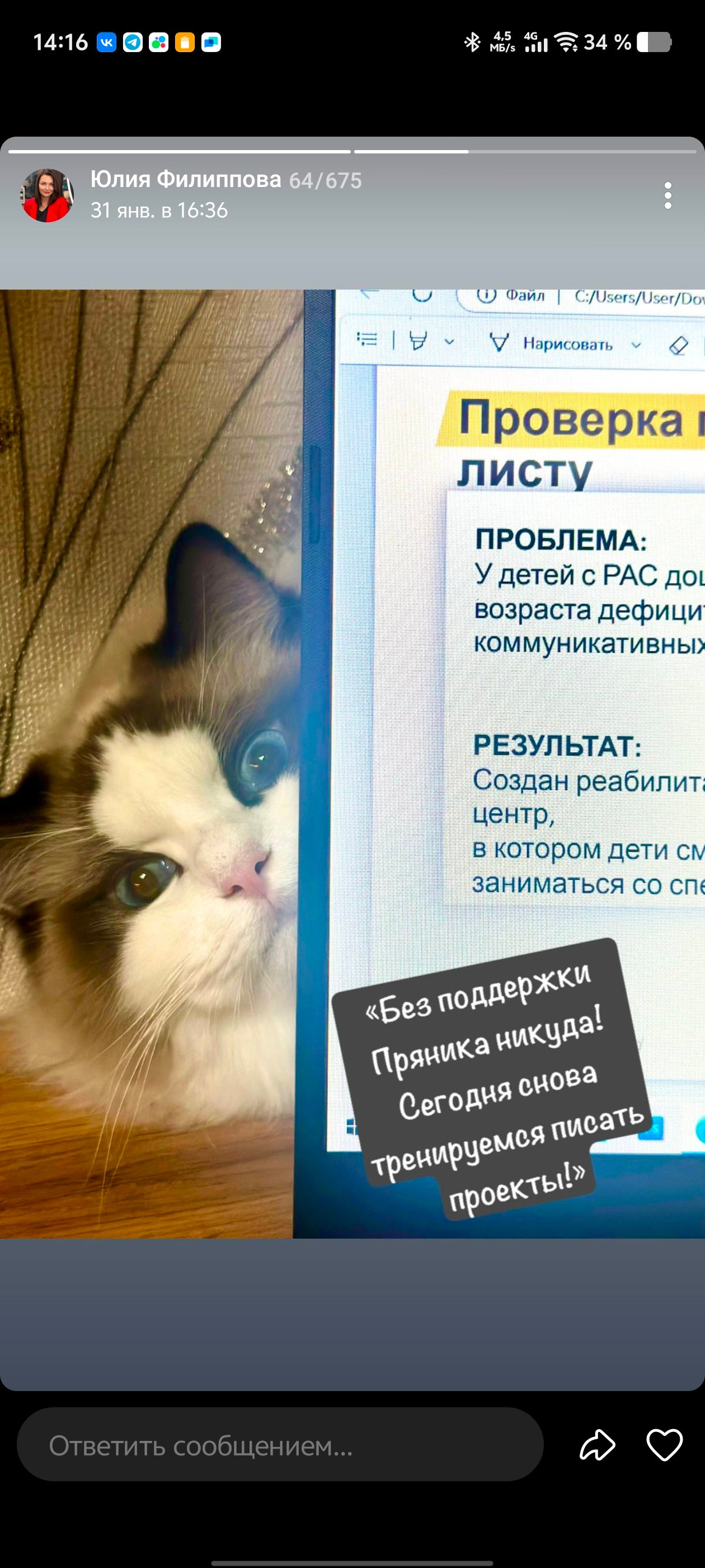 Выпускники Loyal Adore. Питомник рэгдолл Loyal Adore