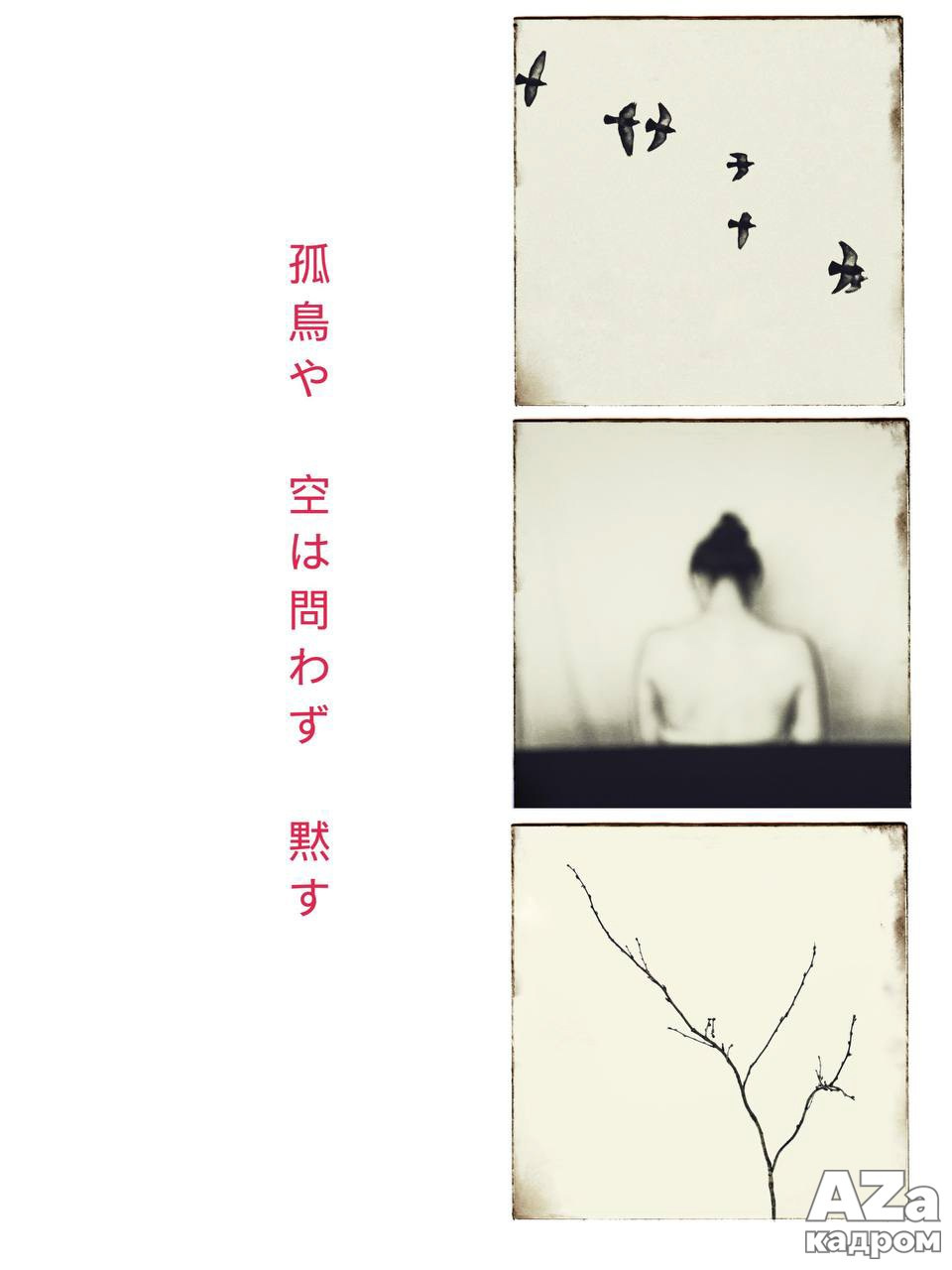 Фотофанты 02.02.2026. Женский семейный фотограф Тула Москва Захарова Анна