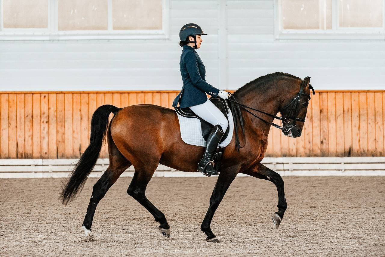 ЗОЛОТАЯ ОСЕНЬ КСК «КОНКОРД», ВЫЕЗДКА. Конный фотограф Куракина Дарья • Фотосессии с лошадьми