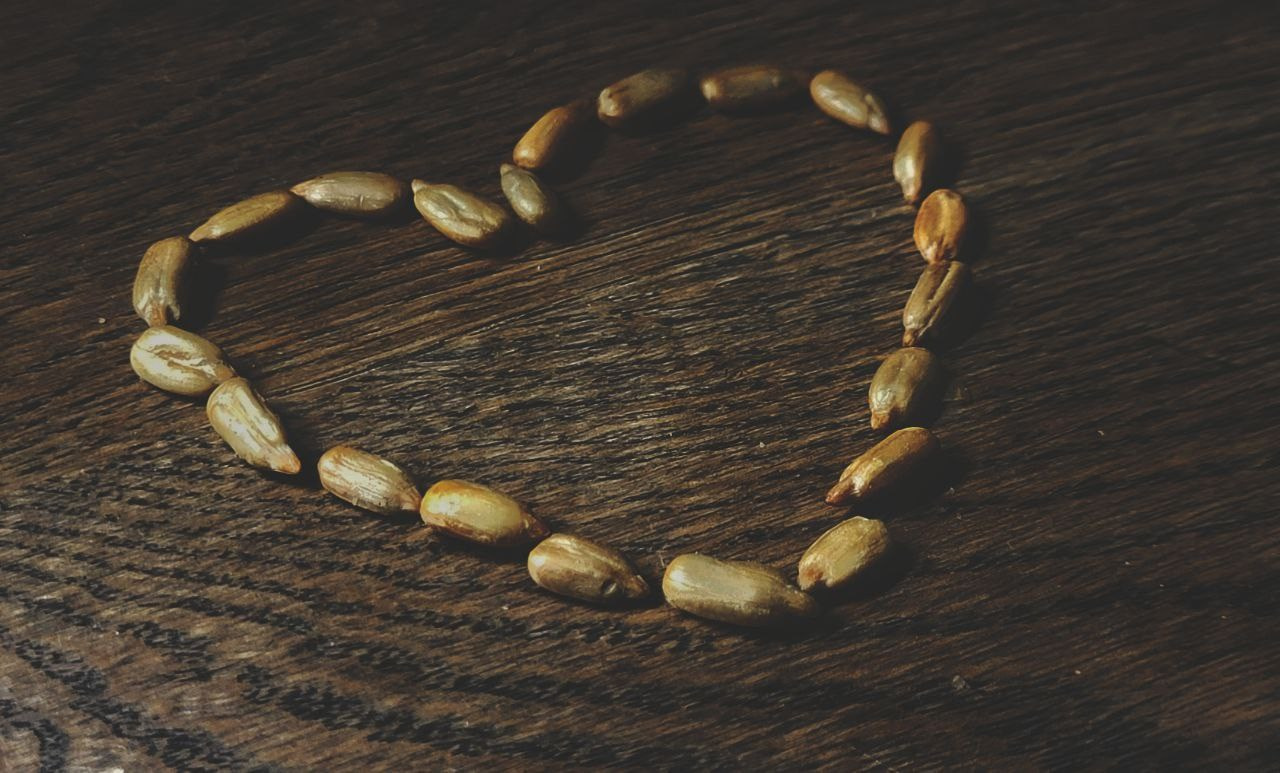 Проект «366»|2024|Фото каждый день. LENA GRACE photographer ||ЛЕНА ГРЭЙС фотограф