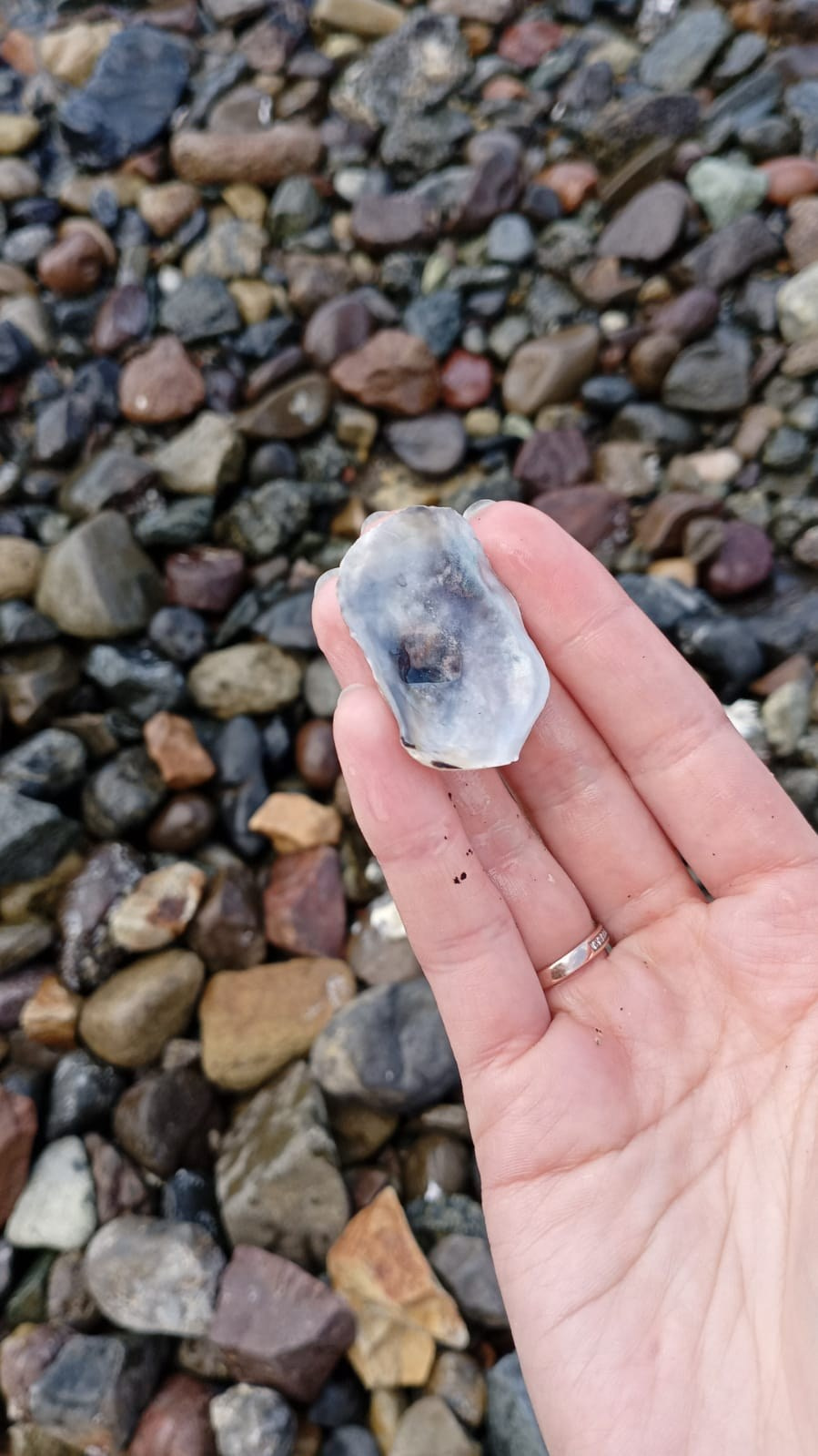 Порт, Владивосток, корабль, море, камни, девушка, берег