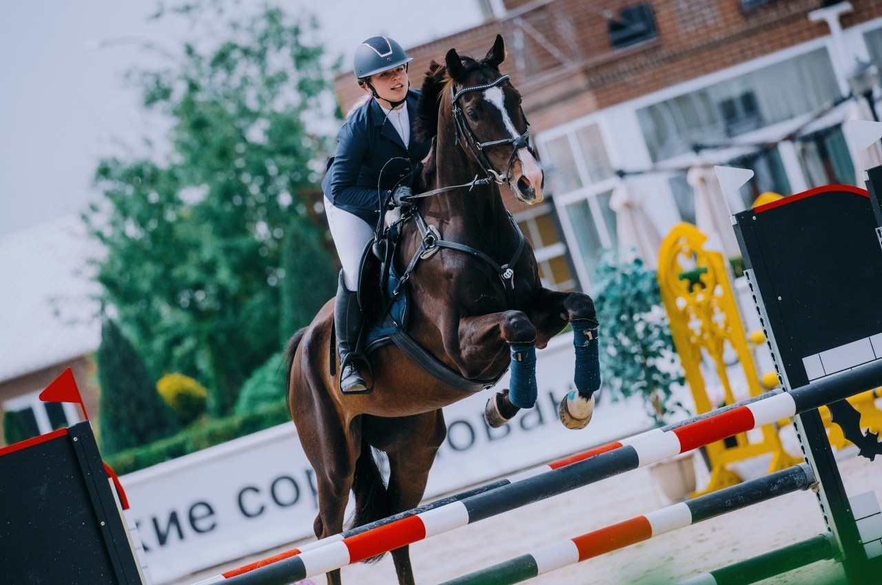 Отзывы. Фотограф-анималист Ксендзова Кристина