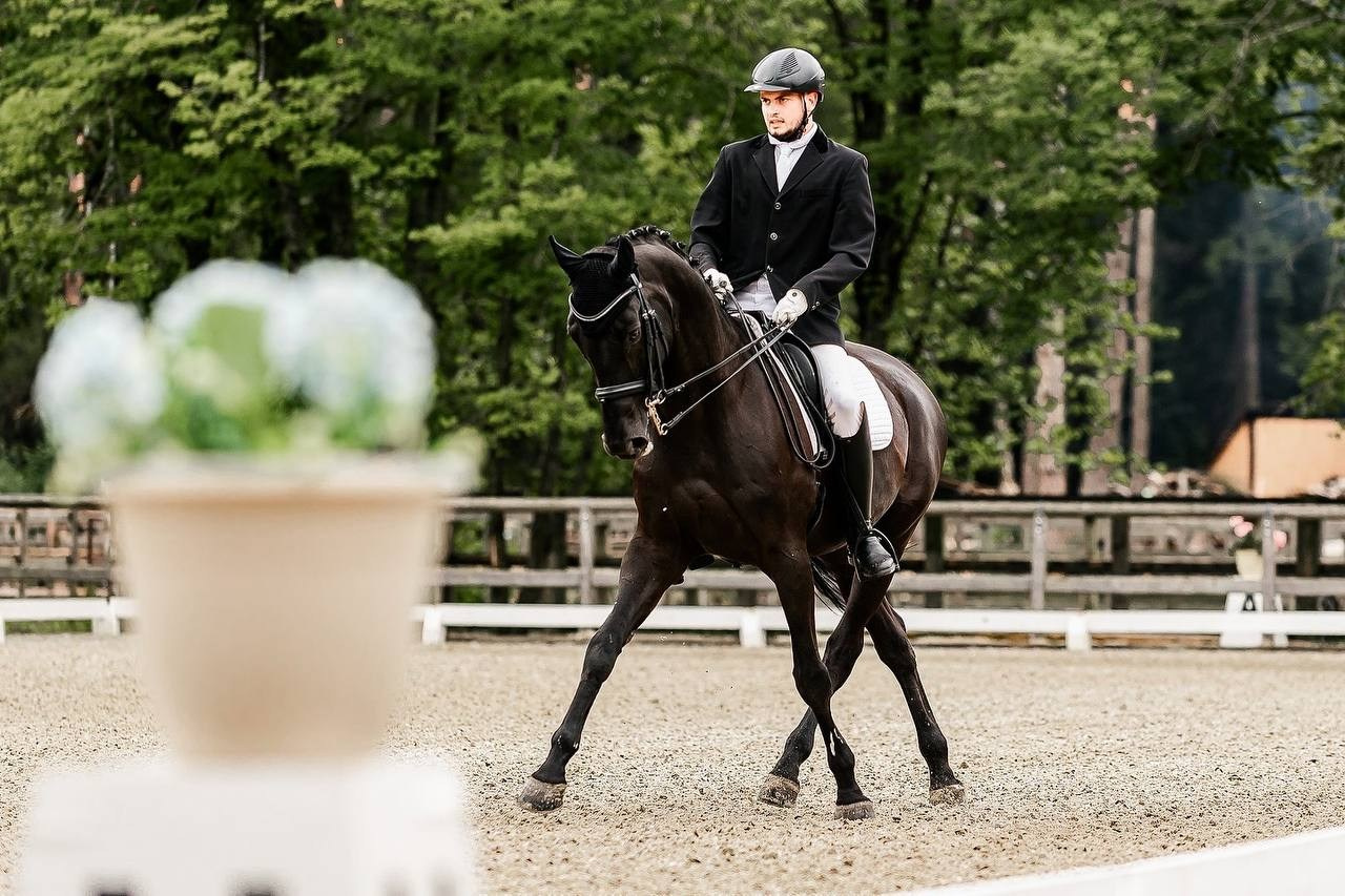 Третий этап КУБКА КСК «АЛМАЗОВО» по ВЫЕЗДКЕ. Конный фотограф Куракина Дарья • Фотосессии с лошадьми