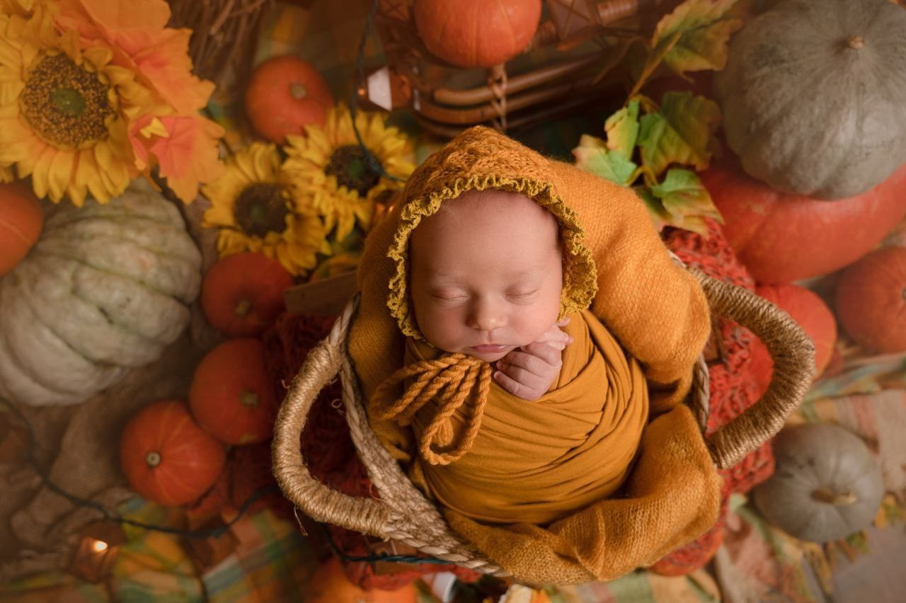 6. ВАША СЕМЕЙНАЯ ФОТОСТУДИЯ