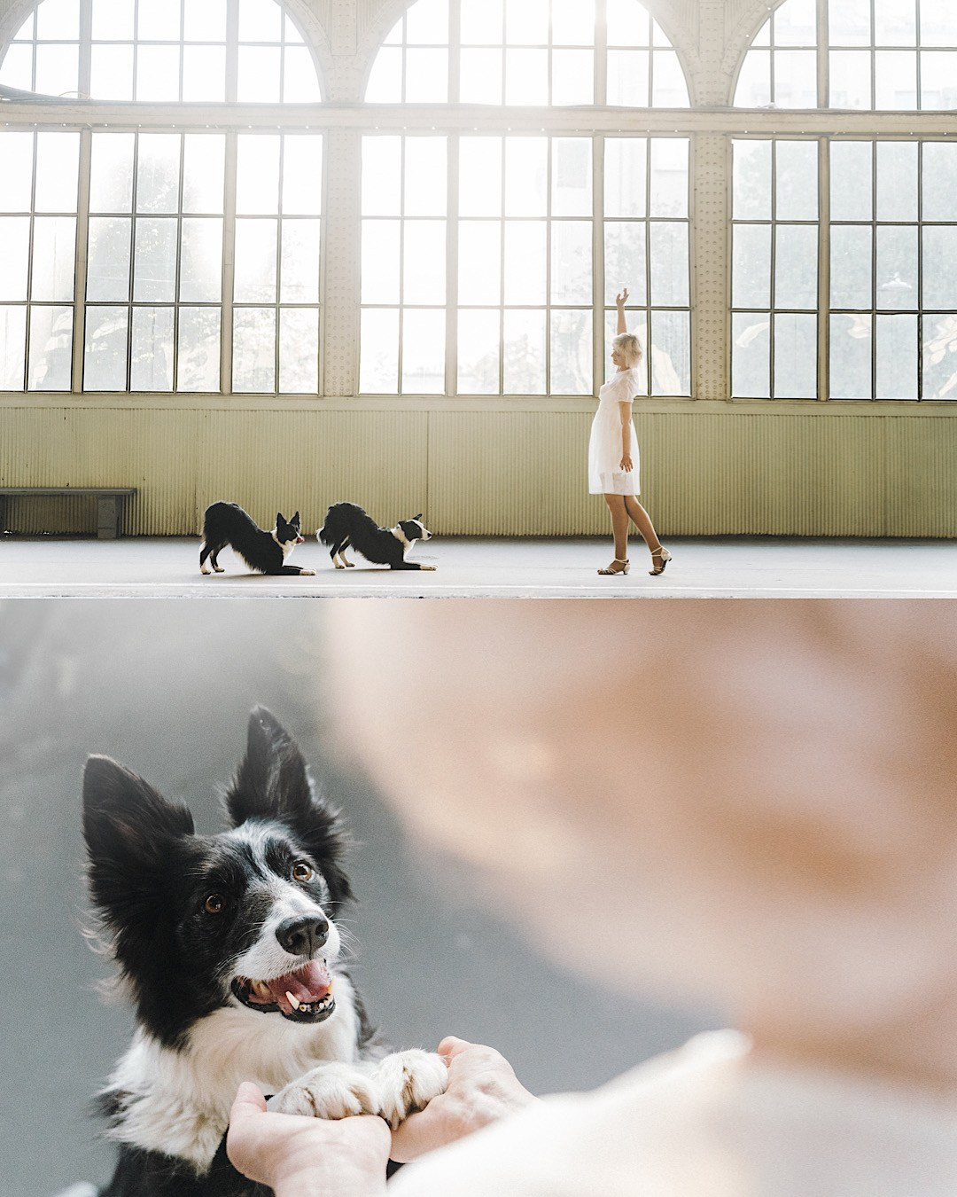 Таня, Марта и Клипса. Фотограф анималист в Москве и Санкт-Петербурге Свиридова Анна