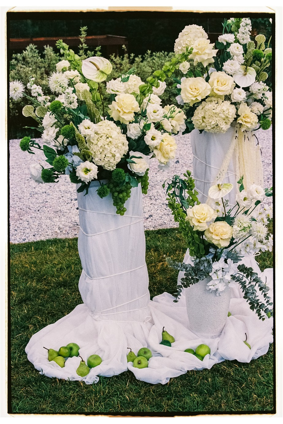 Превью на плёнку. Главная